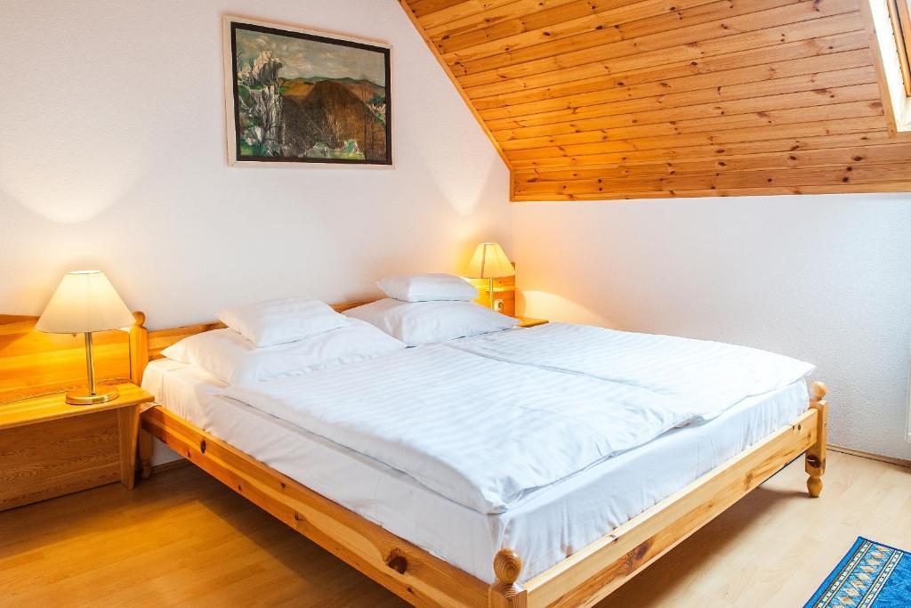 Alina Apartmanhaz Heviz Room photo